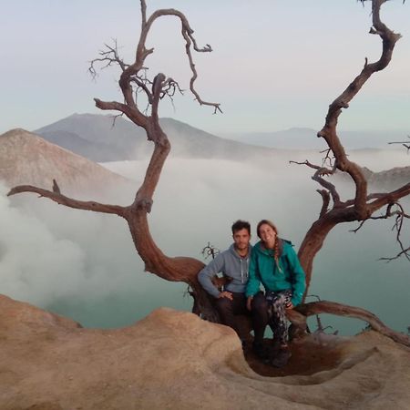 Thalia Homestay & Ijen Bromo Tour Banyuwangi  Exterior photo