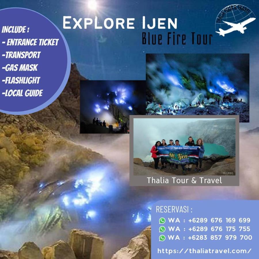Thalia Homestay & Ijen Bromo Tour Banyuwangi  Exterior photo