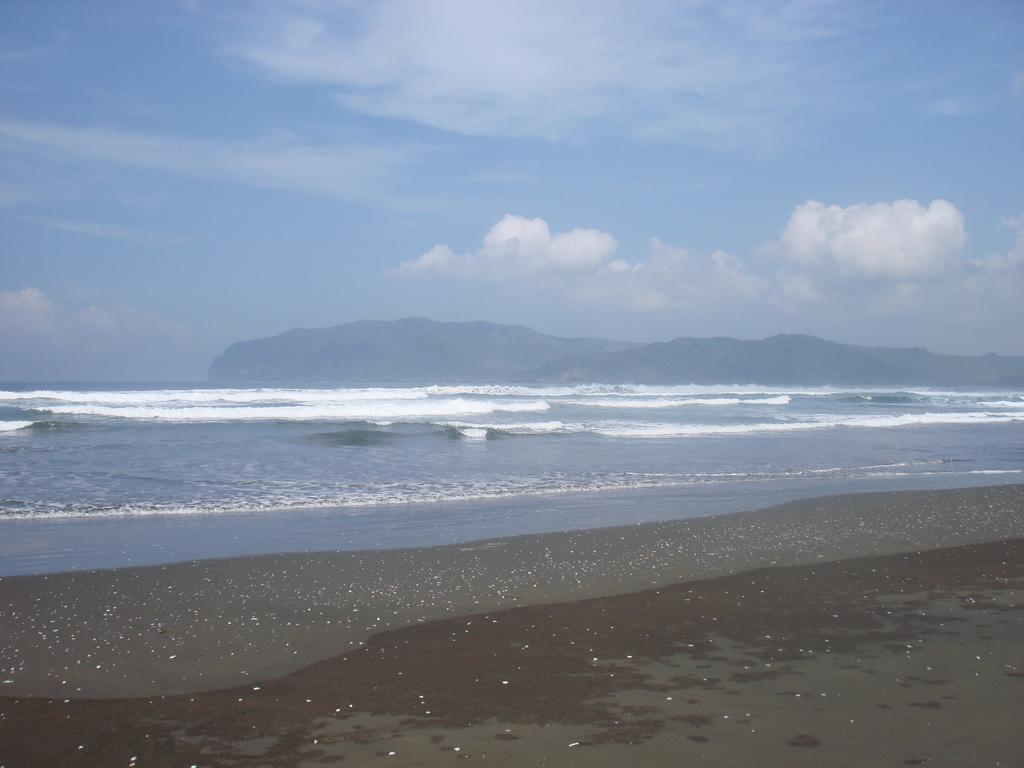 Thalia Homestay & Ijen Bromo Tour Banyuwangi  Exterior photo