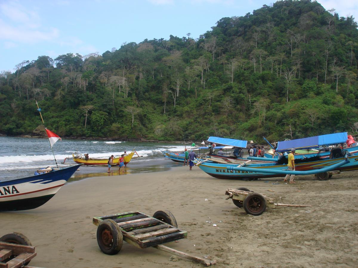 Thalia Homestay & Ijen Bromo Tour Banyuwangi  Exterior photo